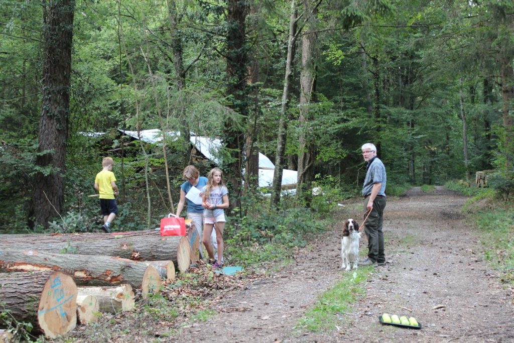 Jagdhund, Hundetraining