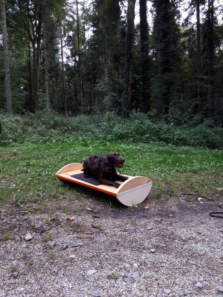 Jagdhund, Schaukelplatte, Deutscher Wachtelhund
