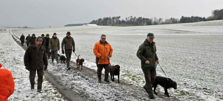 Junghundeausbildung, Jagdhunde, Winter, Defilée